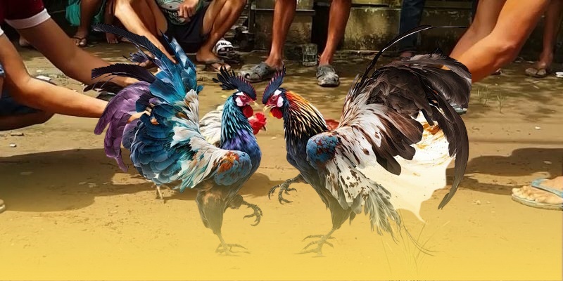 GA888 ứng dụng công nghệ phát chất lượng cao