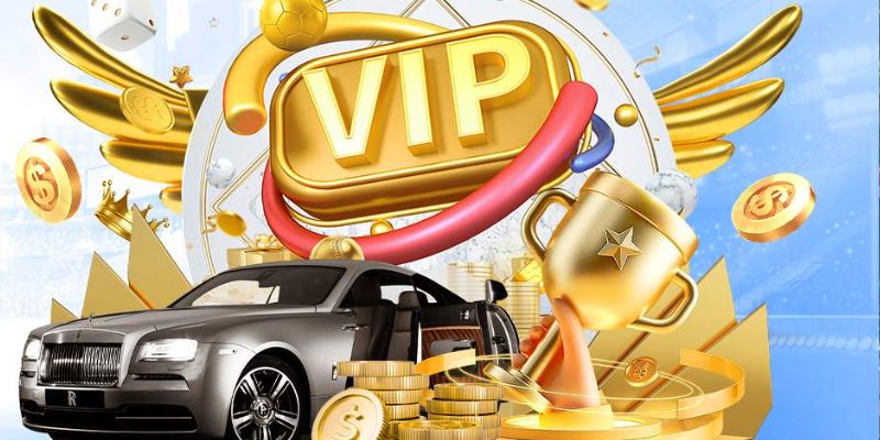 Nhận nhiều lợi ích hấp dẫn khi trở thành hội viên cấp độ VIP